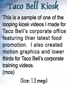 Movie Description